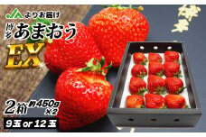 1月より順次発送！「博多あまおう」EX　贈答用化粧箱　約450g 2箱【ほたるの里】_HA0753