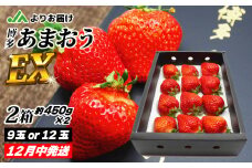 12月発送！「博多あまおう」EX　贈答用化粧箱　約450g 2箱【ほたるの里】_HA0755