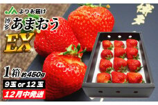 12月発送！「博多あまおう」EX　贈答用化粧箱　約450g 1箱【ほたるの里】_HA0754