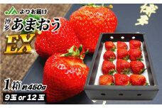 1月より順次発送！「博多あまおう」EX　贈答用化粧箱　約450g 1箱【ほたるの里】_HA0752