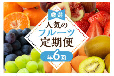 【定期便/年6回】むなかた旬のフルーツ6回定期便【ほたるの里】_HB0090