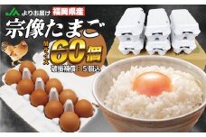 JAむなかたよりお届け！宗像たまご60個（55個＋補償5個）【JAほたるの里】_HA0916