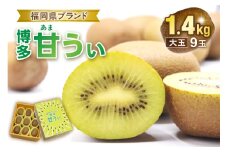 【ギフト】福岡県ブランド！キウイフルーツ「博多甘うぃ」約1.4kg化粧箱入り【ほたるの里】_HA0943