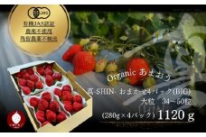 オーガニックあまおう 「いせいちご」 おまかせ4パック（大粒）【伊世いちご畑】_HA1019