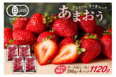 オーガニックあまおう 「いせいちご」 おまかせ4パック（MIX）【伊世いちご畑】_HA1018
