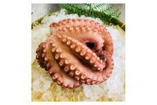 宗像産地ダコ丸ごとボイル【約1kg】【マルケイ水産】_HA0997