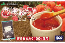 冷凍「博多あまおうピューレ」1kg【JAほたるの里】_HA1044