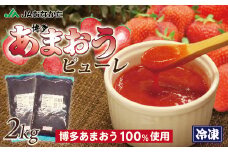 冷凍「博多あまおうピューレ」1kg×2袋【JAほたるの里】_HA1045