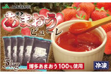 冷凍「博多あまおうピューレ」1kg×5袋【JAほたるの里】_HA1046