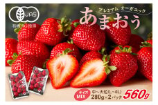 オーガニックあまおう「いせいちご」2パック(280g×2)【伊世いちご畑】_HA1116