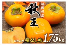 福岡県ブランド柿「秋王」化粧箱約1.75kg【JAほたるの里】_HA1318