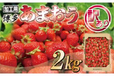 【訳あり】加工用「博多あまおう」2kg【JAほたるの里】_HA1334