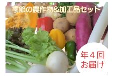 【定期便/年4回 】有機肥料で育った季節の農産物&加工品のセット【アグリCATS】_HB0115