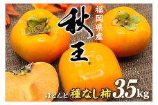 福岡県ブランド　高級柿【秋王】3.5kg【JAほたるの里】_HA1352