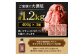 博多和牛切り落とし1.2kg(400g×3パック)ジャポネソース付き