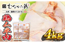 宗像産ブランド鶏【むなかた鶏】ムネ肉4kg（平飼い）【JAほたるの里】_HA1419