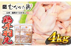 宗像産ブランド鶏【むなかた鶏】手羽先4kg（平飼い）【JAほたるの里】_HA1422