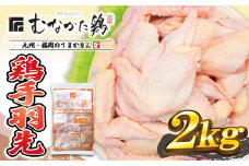 宗像産ブランド鶏【むなかた鶏】手羽先2kg（平飼い）【JAほたるの里】_HA1423