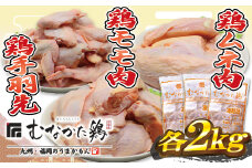 宗像産ブランド鶏【むなかた鶏】食べ比べセット（モモ肉、ムネ肉、手羽先各2kg）（平飼い）【JAほたるの里】_HA1424