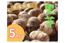 循環型有機肥料で育った里芋（石川早生）5kg【アグリCATS】_HA1432