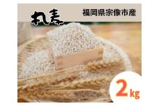 ミネラル豊富な丸麦 2kg【アグリCATS】_HA1443