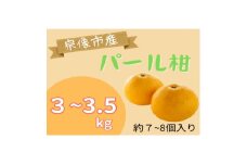 循環型有機肥料で育ったパール柑　3～3.5kg【アグリCATS】_HA1470