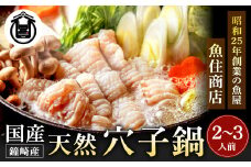 鐘崎産天然穴子鍋セット(2〜3人前)【魚住商店】_HA1488