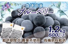【レビューCP対象】有機栽培・栽培期間中農薬不使用！急速冷凍ブルーベリー 1.2kg 【JAほたるの里】_HA1517