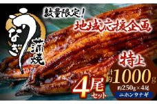 【レビューCP対象】うなぎ蒲焼き4尾セット(約250g×4尾セット)【魚住商店】_HA1494