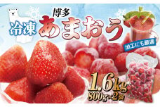急速冷凍！人気のあまおう 冷凍いちご　福岡県特産品　大容量 1.6kg【JAほたるの里】_HA1513