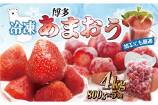急速冷凍！人気のあまおう 冷凍いちご 大容量4kg【JAほたるの里】_HA1514