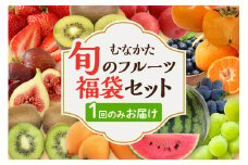 【レビューCP対象】何が届くかお楽しみ！むなかた旬のフルーツ福袋セット【JAほたるの里】_HA1541