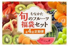 【レビューCP対象】何が届くかお楽しみ！むなかた旬のフルーツ福袋定期便【年4回】【JAほたるの里】_HB0165