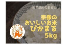 令和7年産新米 予約受付！むなかた産 米 ぴかまる 5kg【みきふぁーむ】_HA1543