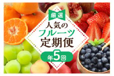 【定期便/年5回】JAむなかた厳選！人気フルーツ定期便【JAむなかた ほたるの里】_HB0164