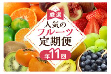 【定期便/年11回】JAむなかた厳選！旬のフルーツ定期便【JAほたるの里】_HB0171