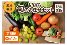 【レビューCP対象】【毎月お届け】むなかた旬のお任せセット（野菜・フルーツ）9～11品【JAほたるの里】_HB0175