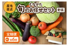 【レビューCP対象】【奇数月お届け】むなかた旬のお任せセット(野菜) 7～9品【ほたるの里】_HB0172