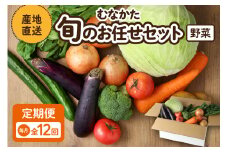 【レビューCP対象】【毎月お届け】むなかた旬のお任せセット（野菜）7～9品【JAほたるの里】_HB0173