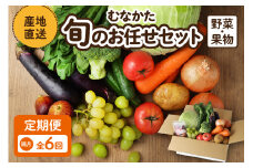 【レビューCP対象】【偶数月お届け】むなかた旬のお任せセット(野菜・フルーツ) 9～11品 【JAほたるの里】_HB0174