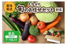 【レビューCP対象】むなかた旬のお任せセット(野菜) 7～9品【JAほたるの里】_HA1569