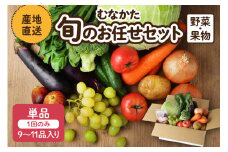 【レビューCP対象】むなかた旬のお任せ セット(野菜・フルーツ)9～11品【JAほたるの里】_HA1570
