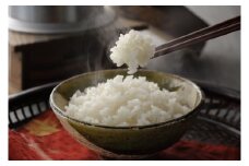 【定期便／年12回／毎月お届け】元気つくし定期便(10kg×12か月）【JAむなかたお米パール店】_HB0180
