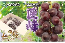 【JAむなかたより】巨峰1.2kg【JAほたるの里】_HA1476