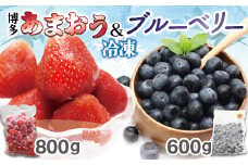 冷凍あまおう800g ＆ 冷凍ブルーベリー600gセット 計1.4kg【JAほたるの里】_HA1653