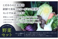 有機JAS認証 旬の野菜セット 8品【ぶたちゃんの畑】_HA1708