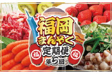 【全5回】福岡のうまかもんをお届け！福岡まんぞく定期便【ほたるの里】_HB0192