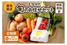 【毎月お届け】むなかた旬のお任せセット（野菜・フルーツ・卵） 9～11品【JAほたるの里】_HB0194