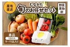 むなかた旬のお任せセット（野菜・フルーツ・卵） 9～11品【JAほたるの里】_HA1712