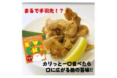 むなかた鶏 とり皮チップス（手羽先味）【道の駅むなかた】_HA0713